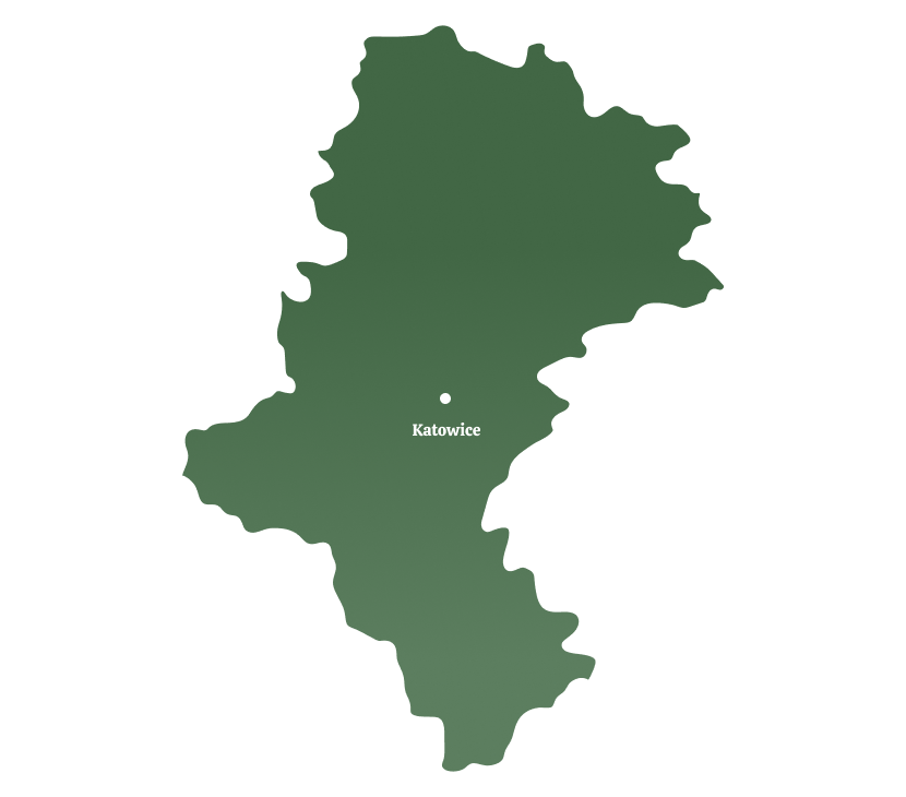województwo śląskie